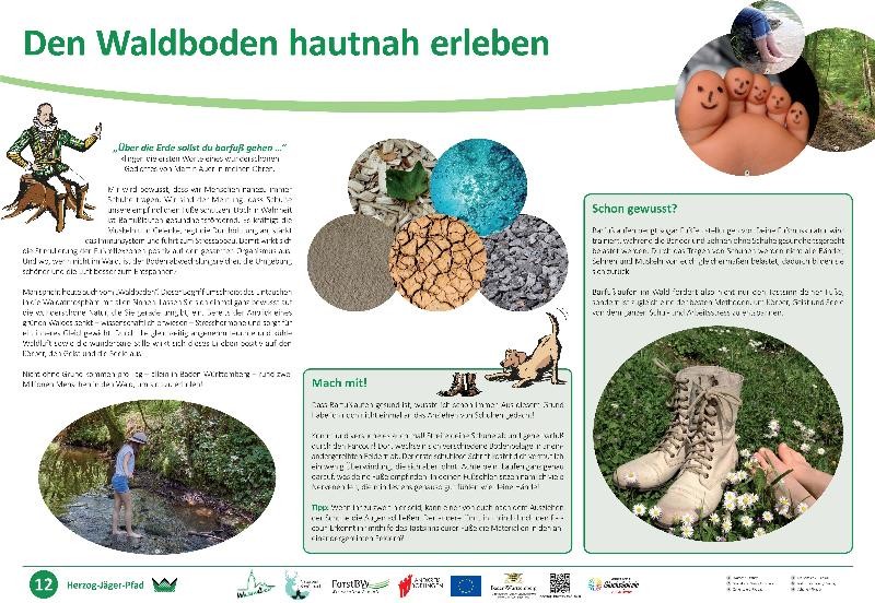 Infotafel "Den Waldboden hautnah erleben" Infotafel "Den Waldboden hautnah erleben"