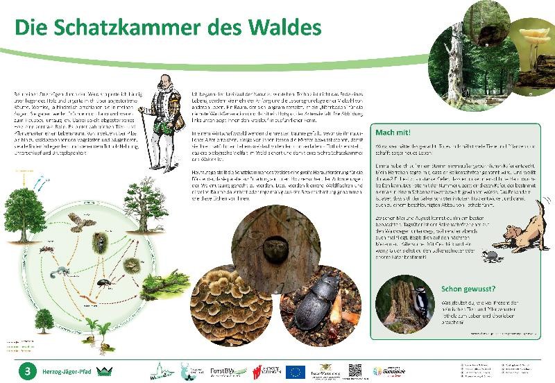 Infotafel "die Schatzkammer des Waldes" Infotafel "die Schatzkammer des Waldes"