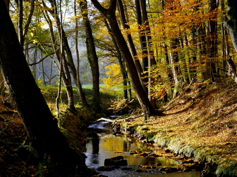 Schaichtal zu sehen ist die "Schaich" im Schaichtal