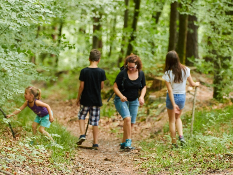 Hohlweg eine Familie spaziert auf dem Hohlweg